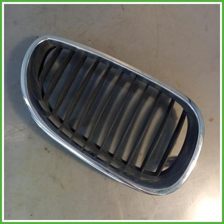 Griglia Radiatore Sinistro SX Bmw Serie 5 E60 Berlina 530d 3.0 24v. 51137027061 2003-2010