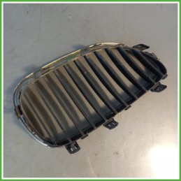 Griglia Radiatore Destro DX Bmw Serie 5 E60 Berlina 530d 3.0 24v. 51137027062 2003-2010