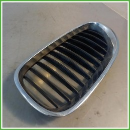 Griglia Radiatore Destro DX Bmw Serie 5 E60 Berlina 530d 3.0 24v. 51137027062 2003-2010
