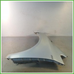 Parafango Anteriore Sinistro SX Volkswagen Golf Plus 2 Serie Berlina 5 Porte 2009-2013 Grigio Originale Usato