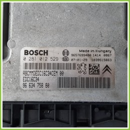 Centralina Motore Iniezione ECU BOSCH 0281012529 PEUGEOT 207 1.4 HDI 9663475880 Diesel 2006 2009