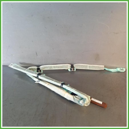 Airbag Laterale Destro DX Volkswagen Passat 6 Serie 1.6 TDi BlueMotion 16v. 3C0880742G 2010-2014 Trw 323/10