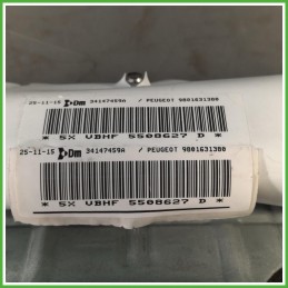 Airbag Laterale Destro DX Peugeot 3008 2 Serie 1.6 BlueHDi 9801631380 2016-2020 Dm Dalphimetal 34147459A