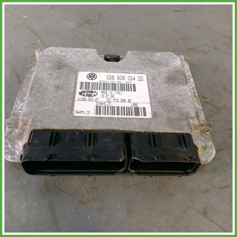 Centralina Motore Iniezione ECU Magneti Marelli IAW4MV.DD Volkswagen Polo 4 Serie 1.4 16v. 036906034DD Benzina 2003-2005