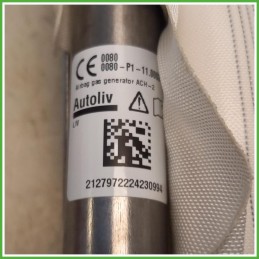 Airbag Laterale Destro DX Peugeot 2008 2 Serie 1.2 PureTech 12v. 9838258680 2023 Autoliv