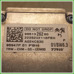 Telecamera Anteriore Peugeot 2008 2 Serie 1.2 PureTech 12v. 9847393780 2023 Trw 95947P