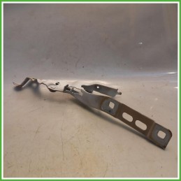 Cerniere Cofano Anteriore Destro DX Peugeot 2008 2 Serie 1.2 PureTech 12v. 9838511280 2023