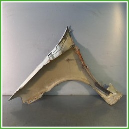 Parafango GRIGIO Destro DX Fiat Punto 2 Serie Berlina 5 Porte 2003-2009 Grigio Originale Usato