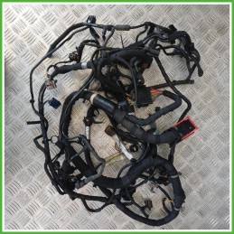 Cablaggio Elettrico Motore Land Rover Range Rover Sport 3 Serie 3.0 TD 24v. 306DT LR053136 2013-2017