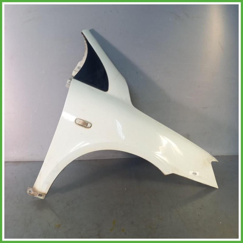 Parafango Anteriore Destro DX Fiat Multipla 2 Serie Multispace 5 Porte 2004-2010 Bianco Originale Usato