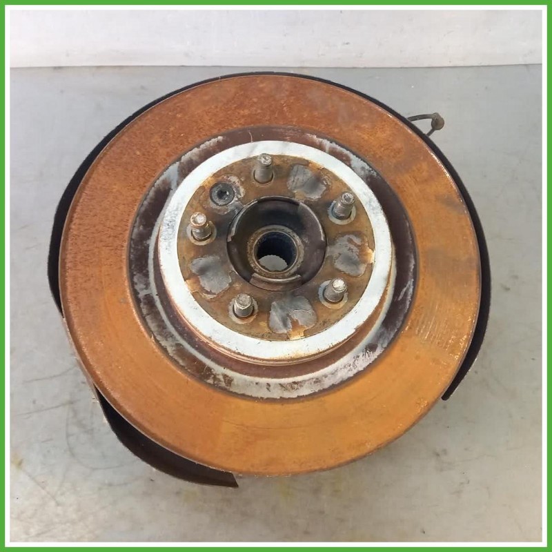 Fusello Posteriore Sinistro SX Land Rover Range Rover Sport 3 Serie 3.0 TD 24v. LR043593 2013-2017 Land Rover LR043593