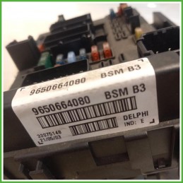 Body Computer Centralina Modulo BCM BSI Delphi 32075148 Peugeot 206 1.4 HDi 9650664080 Gasolio 2001-2009