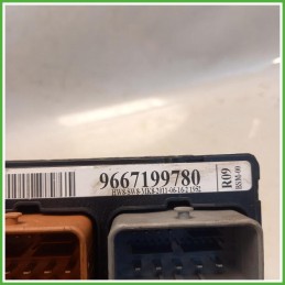 Body Computer Centralina Modulo BCM BSI Valeo R09 Peugeot 207 Van 1.4 HDi 6580NG Gasolio 2006-2012