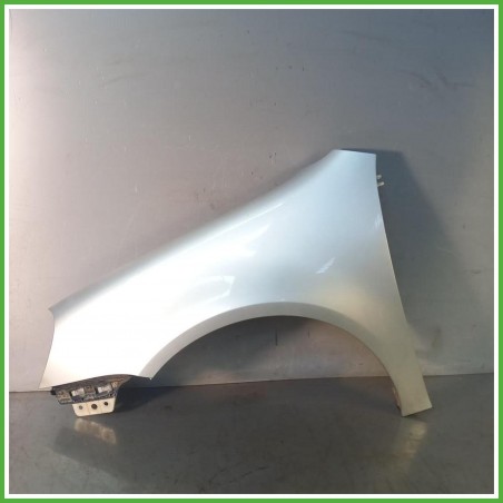 Parafango Anteriore Sinistro SX Volkswagen Golf 5 Serie Berlina 5 Porte 2003-2008 Grigio Originale Usato