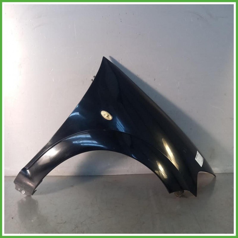 Parafango Anteriore Destro DX Citroen C3 1 Serie Berlina 5 Porte 2006-2009 Nero Originale Usato