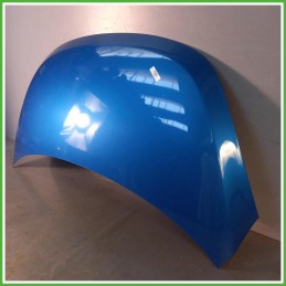 Cofano Motore Blu Hyundai i10 1 Serie 2007-2010 Berlina 5 Porte Originale Usato