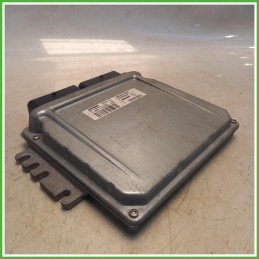 Centralina Motore Iniezione ECU Siemens S118301118A Renault Clio 2 Serie 1.2 GPL 8200374254 Benzina GPL 2008-2010