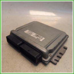 Centralina Motore Iniezione ECU Siemens S118301118A Renault Clio 2 Serie 1.2 GPL 8200374254 Benzina GPL 2008-2010