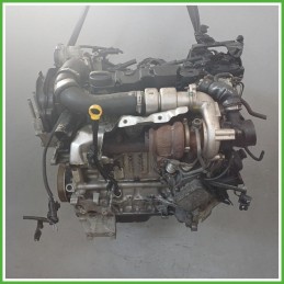 Motore Completo Funzionante KVJA 51Kw Ford Fiesta 6 Serie 2010-2012 Gasolio Originale Usato