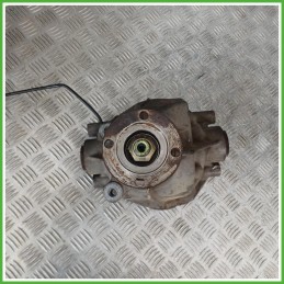 Differenziale Posteriore Land Rover Freelander 1 Serie 2.0 TD4 16v. 204D3 Originale Usato