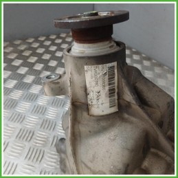Differenziale Posteriore Land Rover Freelander 1 Serie 2.0 TD4 16v. 204D3 Originale Usato