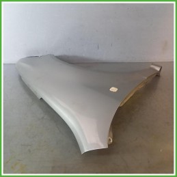 Parafango Anteriore Destro DX Skoda Fabia 6Y5 SW Station Wagon 5 Porte 2004-2007 Champagne Originale Usato