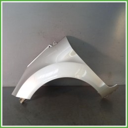 Parafango Anteriore Sinistro SX Ford Fiesta 6 Serie Berlina 5 Porte 2008-2012 Grigio Originale Usato
