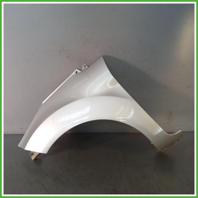Parafango Anteriore Sinistro SX Ford Fiesta 6 Serie Berlina 5 Porte 2008-2012 Grigio Originale Usato
