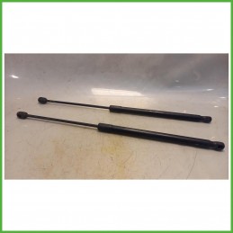 Ammortizzatori Portellone Posteriore Ford Fiesta 6 Serie 1.4 Flexifuel 16v. 1666068 2008-2012