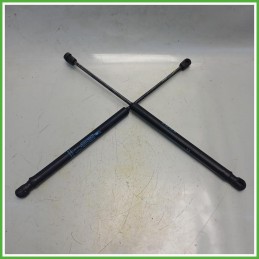 Ammortizzatori Portellone Posteriore Citroen C2 1.1 9639853880 2003-2010