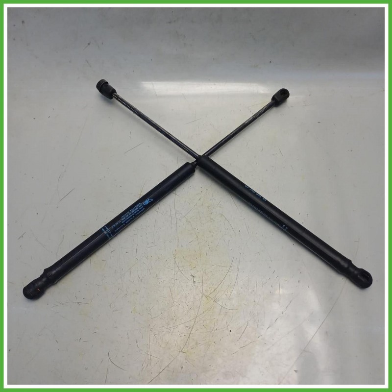 Ammortizzatori Portellone Posteriore Citroen C2 1.1 9639853880 2003-2010