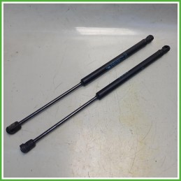 Ammortizzatori Portellone Posteriore Citroen C2 1.1 9639853880 2003-2010