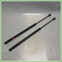 Ammortizzatori Portellone Posteriore Smart Forfour 454 1.5 CDi Passion 12v. A4547400145 2004