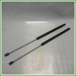 Ammortizzatori Portellone Posteriore Fiat Cinquecento 0.9 46453503 1992-1993