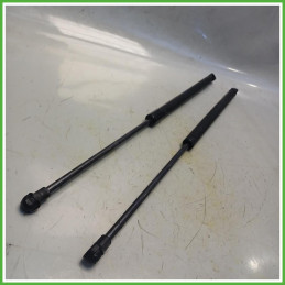 Ammortizzatori Portellone Posteriore Audi A3 8L1 1.6 8D9627552 1996-2001