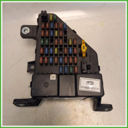 Body Computer Centralina Modulo BCM BSI Tyco Kia Sportage 2 Serie 2.0 CVVT 16v. 919501F510 Benzina 2004-2010