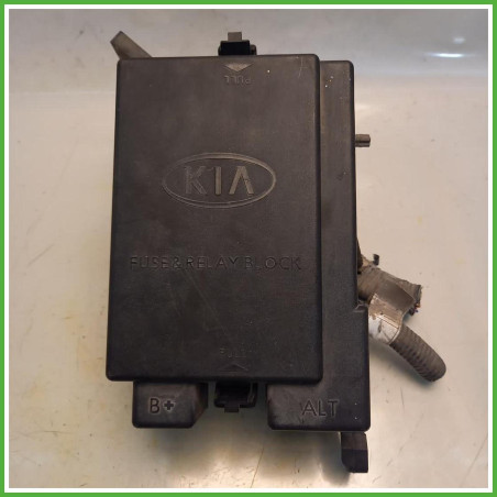 Body Computer Centralina Modulo BCM BSI  Kia Sportage 2 Serie 2.0 CVVT 16v. 919511F230 Benzina 2004-2010