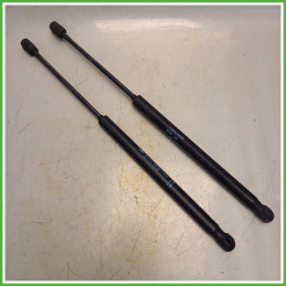Ammortizzatori Portellone Posteriore Citroen C3 1 Serie 1.1 8731G3 2005-2009