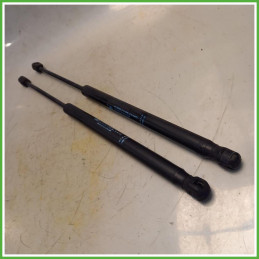 Ammortizzatori Portellone Posteriore Citroen C3 1 Serie 1.1 8731G3 2005-2009