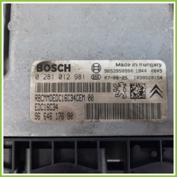 Centralina Motore Iniezione ECU BOSCH 0281012981 CITROEN C4 1.6 16V HDI FAP 9664617680 Diesel 2004 2010