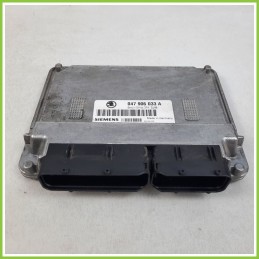 Centralina Motore Iniezione ECU SIEMENS 5WP4419307 SKODA FABIA 6Y 1.4 047906033A Benzina 2000 2007