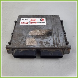 Centralina Motore Iniezione GAS BRC CITROEN C4 PICASSO 31001 PLUG&DRIVE