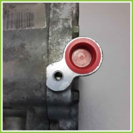 Compressore Clima AC Aria Condizionata DENSO 51747318 LANCIA MUSA TG C/0038 843A1000