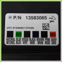 Body Computer Centralina Modulo BCM BSI BSM GENERAL MOTOR P/N13583065 CHEVROLET AVEO T250 SISTEMACONFORTMODUL