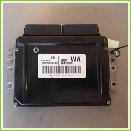 Centralina Motore Iniezione ECU DAEWOO 5WY1E07G CHEVROLET (DAEWOO) KALOS T200 1.2 96435559 Benzina 2005 2008
