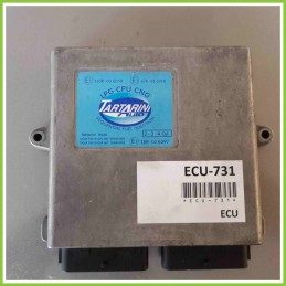Centralina Motore Iniezione GAS TARTARINI 110R-006030 TARTARINI 67R-016018
