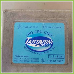 Centralina Motore Iniezione GAS TARTARINI 110R-006030 TARTARINI 67R-016018