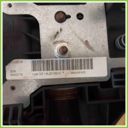 Airbag Guidatore PEUGEOT 5AGB1A0018214 PEUGEOT 207 9650067ZD