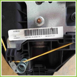 Airbag Guidatore PEUGEOT 5AMB1A0050176 PEUGEOT 207 96500674ZD