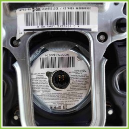 Airbag Guidatore CITROEN 5AUA2Y5155834C CITROEN C3 1a Serie 9638009ZE
